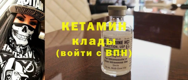 индика Алексин