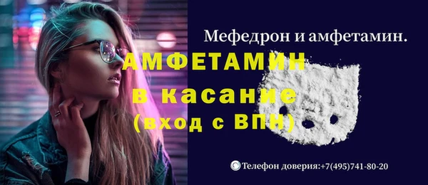 индика Алексин