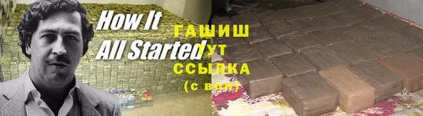 индика Алексин