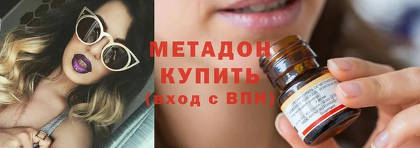 индика Алексин