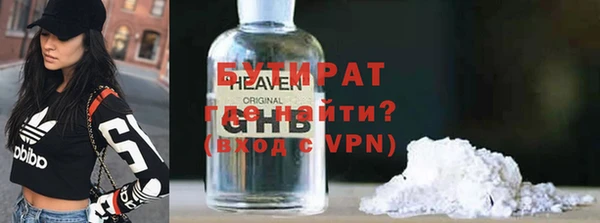 индика Алексин