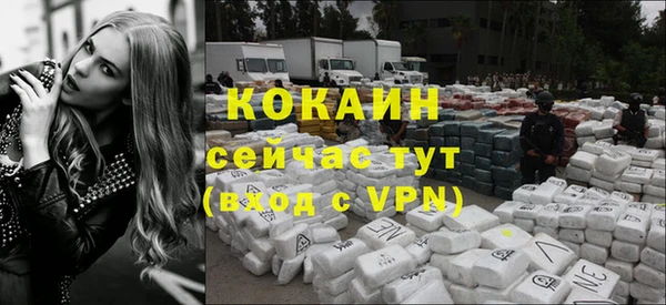 твердый Абаза