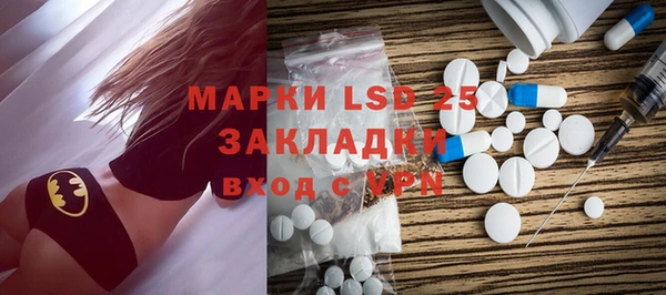 индика Алексин