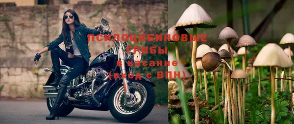 герыч Алзамай