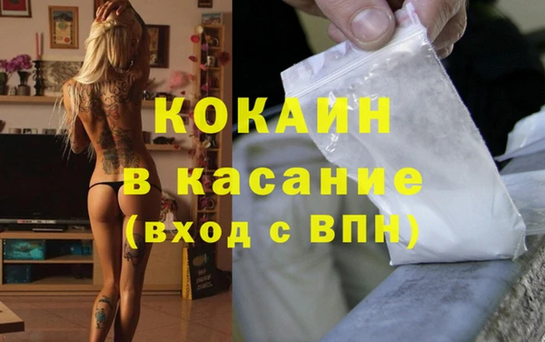 индика Алексин
