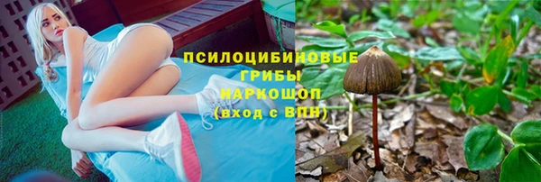 индика Алексин