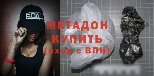 индика Алексин