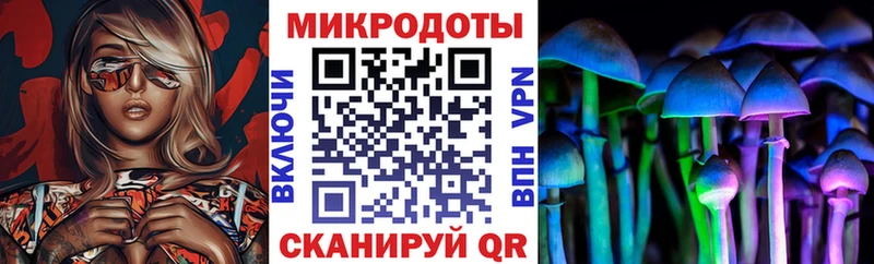 Галлюциногенные грибы Cubensis  Пойковский 